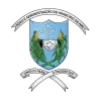 Lei Orgânica