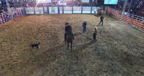 FORTES EMOÇÕES NA ARENA DE RODEIO