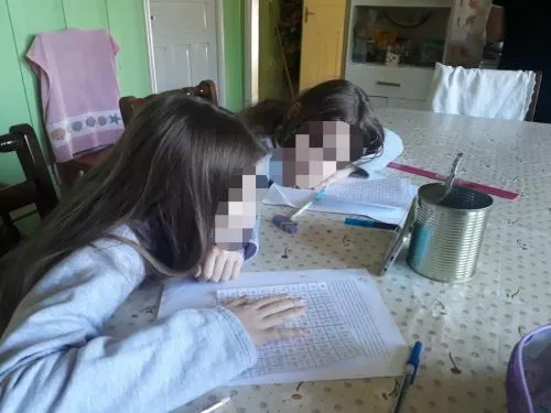 ATIVIDADES REMOTAS - (2ª ATIVIDADE)