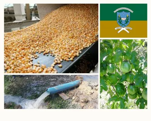 Relatório da Secretaria de Agricultura e Meio Ambiente referente ao mês de junho de 2021