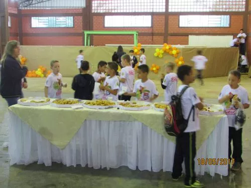 FORMATURA PROERD 2017